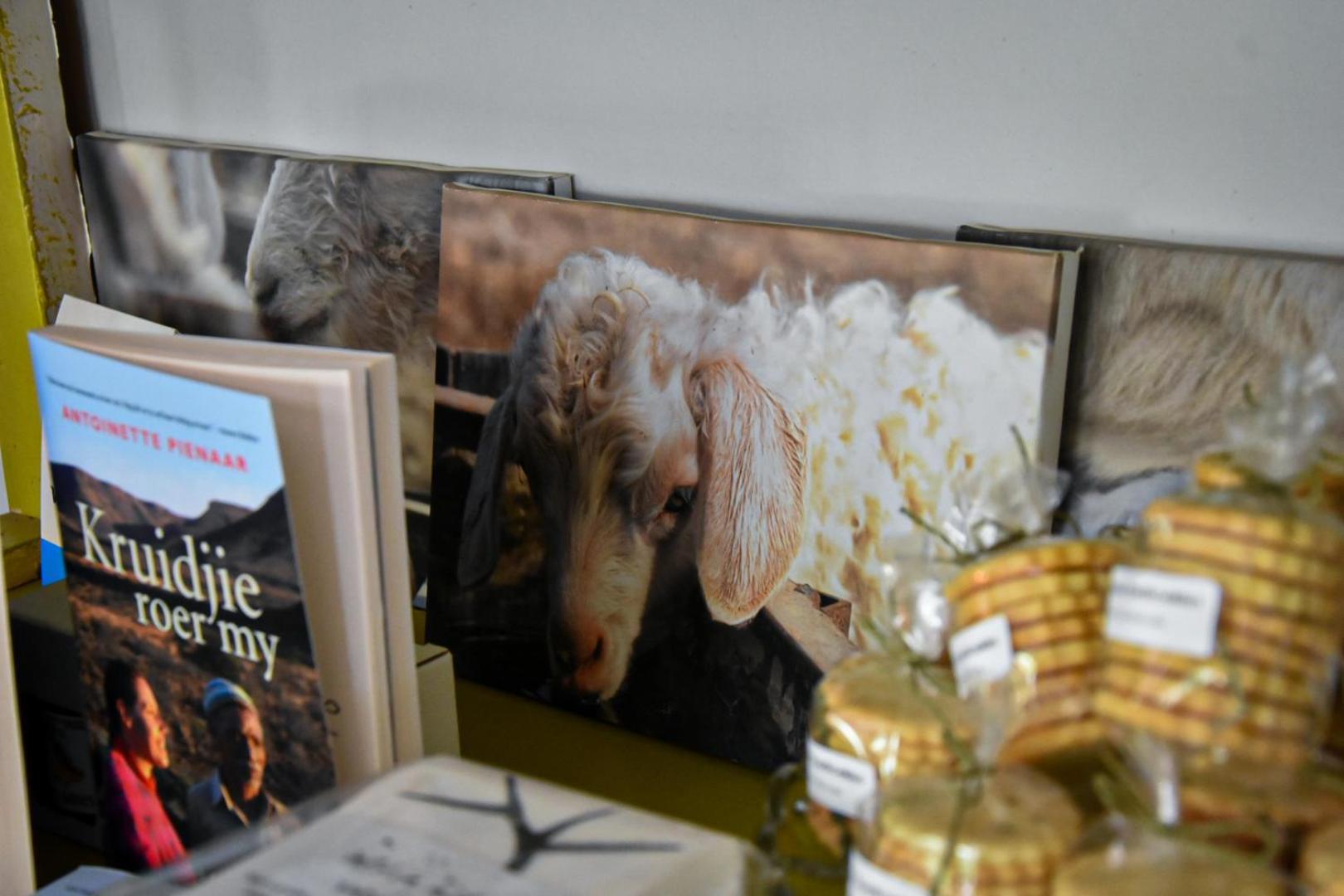 Beautiful Betty Guesthouse โบฟอร์ตเวสต์ ภายนอก รูปภาพ