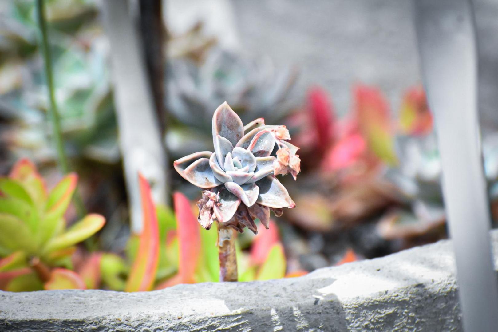 Beautiful Betty Guesthouse โบฟอร์ตเวสต์ ภายนอก รูปภาพ